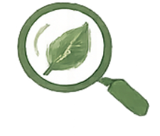 Nomenclature & Classification