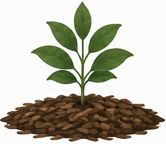 Soil Preparation & Mulching